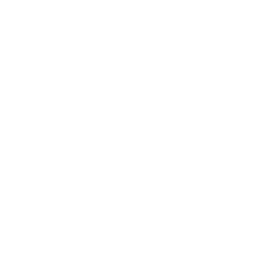 持续的法律或反洗钱/反恐融资支持：